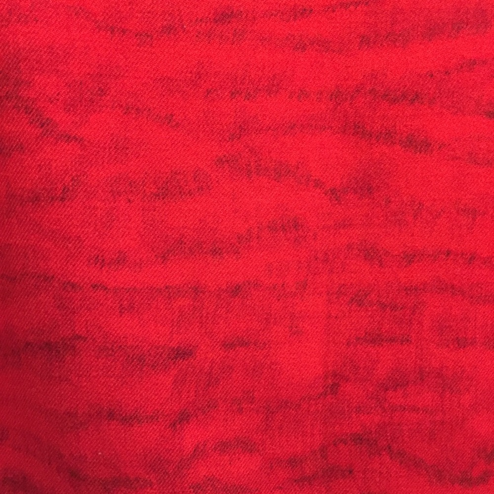 NWT A-K-R-I-S Tiger Print Red Skirt 10 wool silk red stripe - Picture 5 of 8